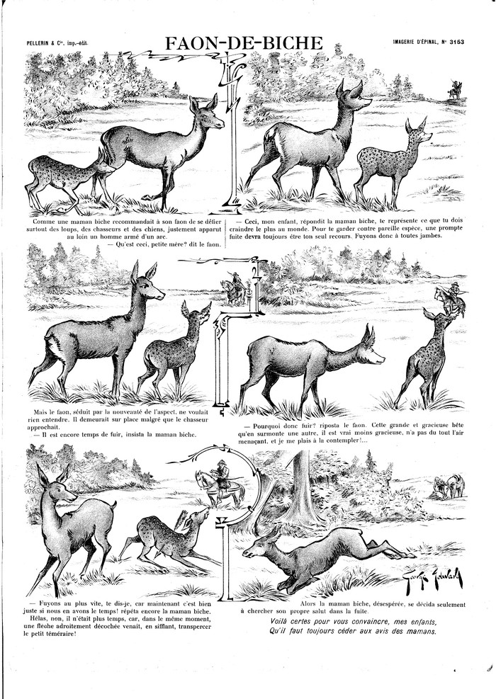 Faon-de-biche