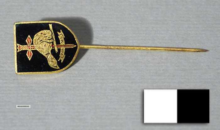 Pin: Genietroepen
