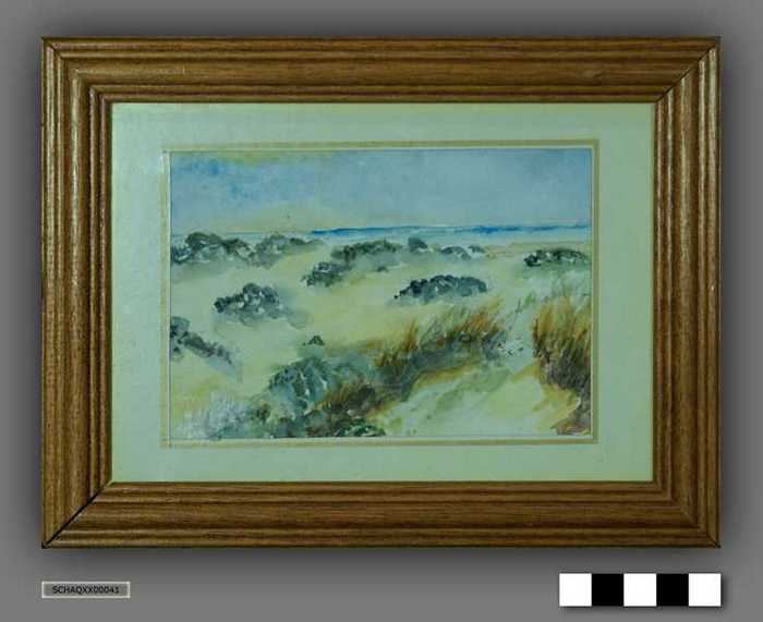 Duinen - Het Zwin
