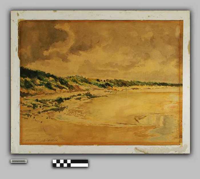 Le 'Zwijn'
