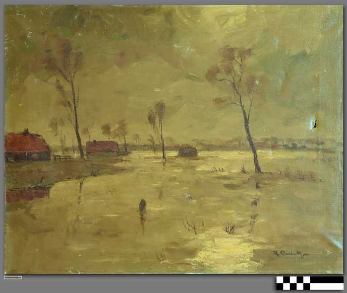 Verdronken weiland
