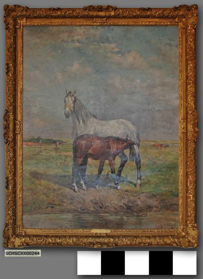 Merrie en veulen