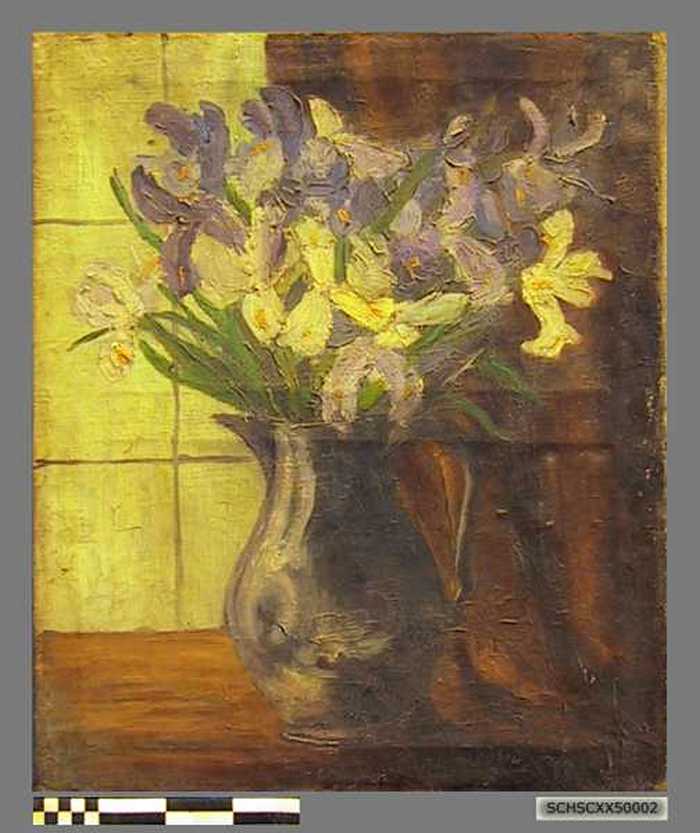 De irissen