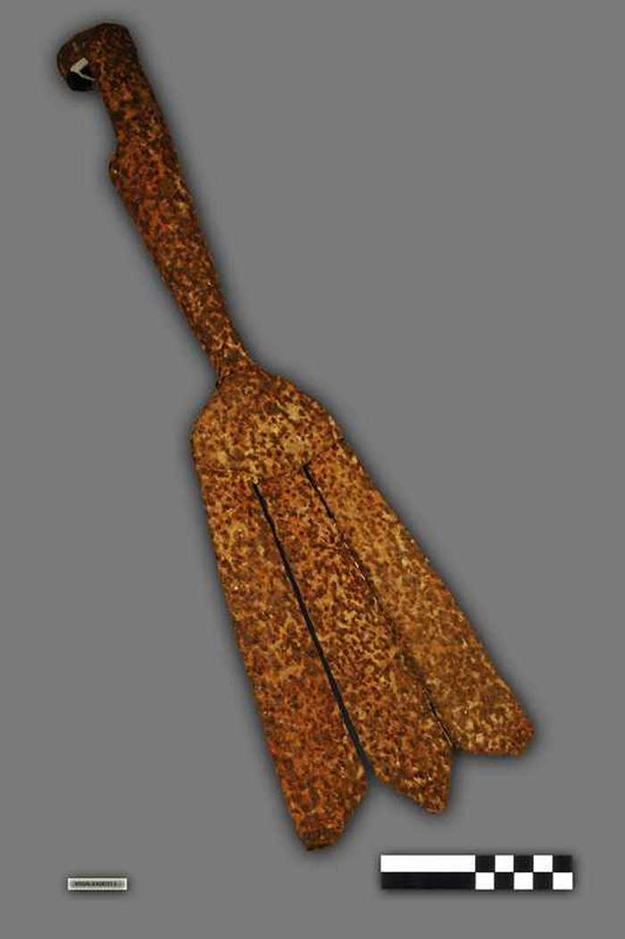 Palingschaar