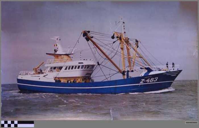 Jasmine Z.483