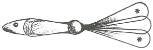 2015 06 01 144457