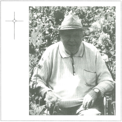 willy de grauwe