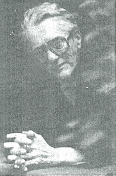victor depaepe