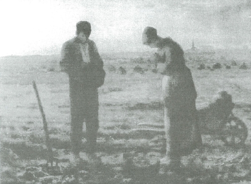 de angelus millet