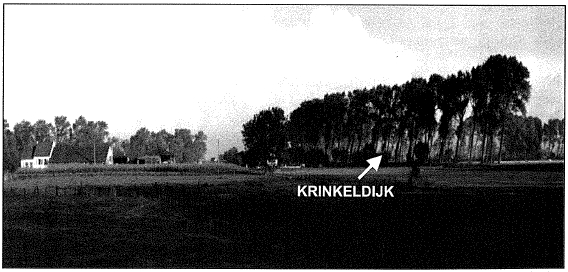 bomenrij trace krinkeldijk