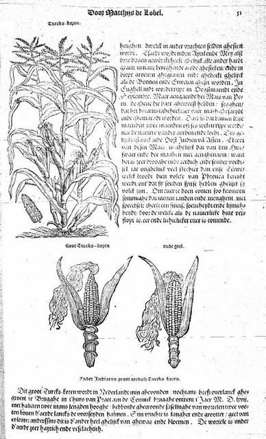 rdp201202p035 082 page48 image36