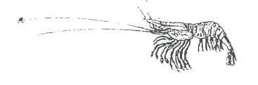 2019 12 02 100401