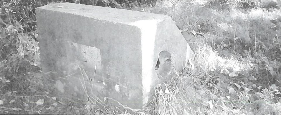 2020 01 12 115028