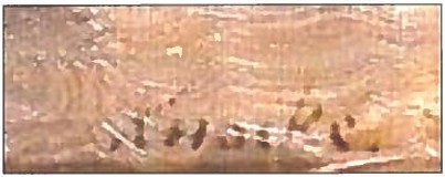 2020 01 14 110116