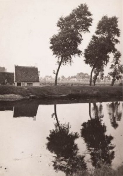 1931 2